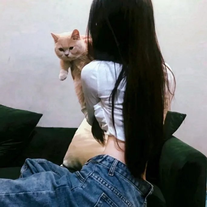 锦月如歌